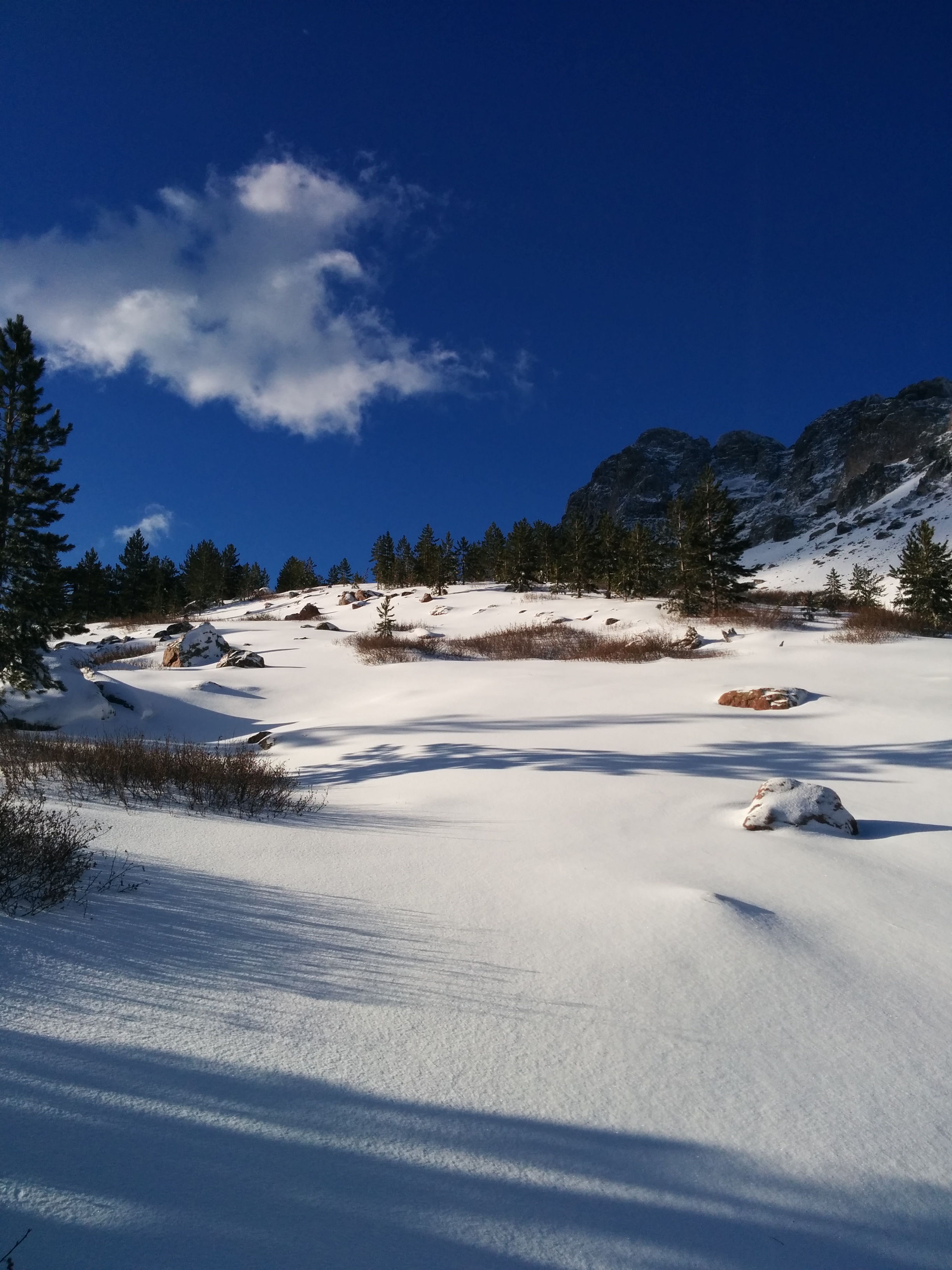 Bocca Tumasginesca Bocca Tumasginesca