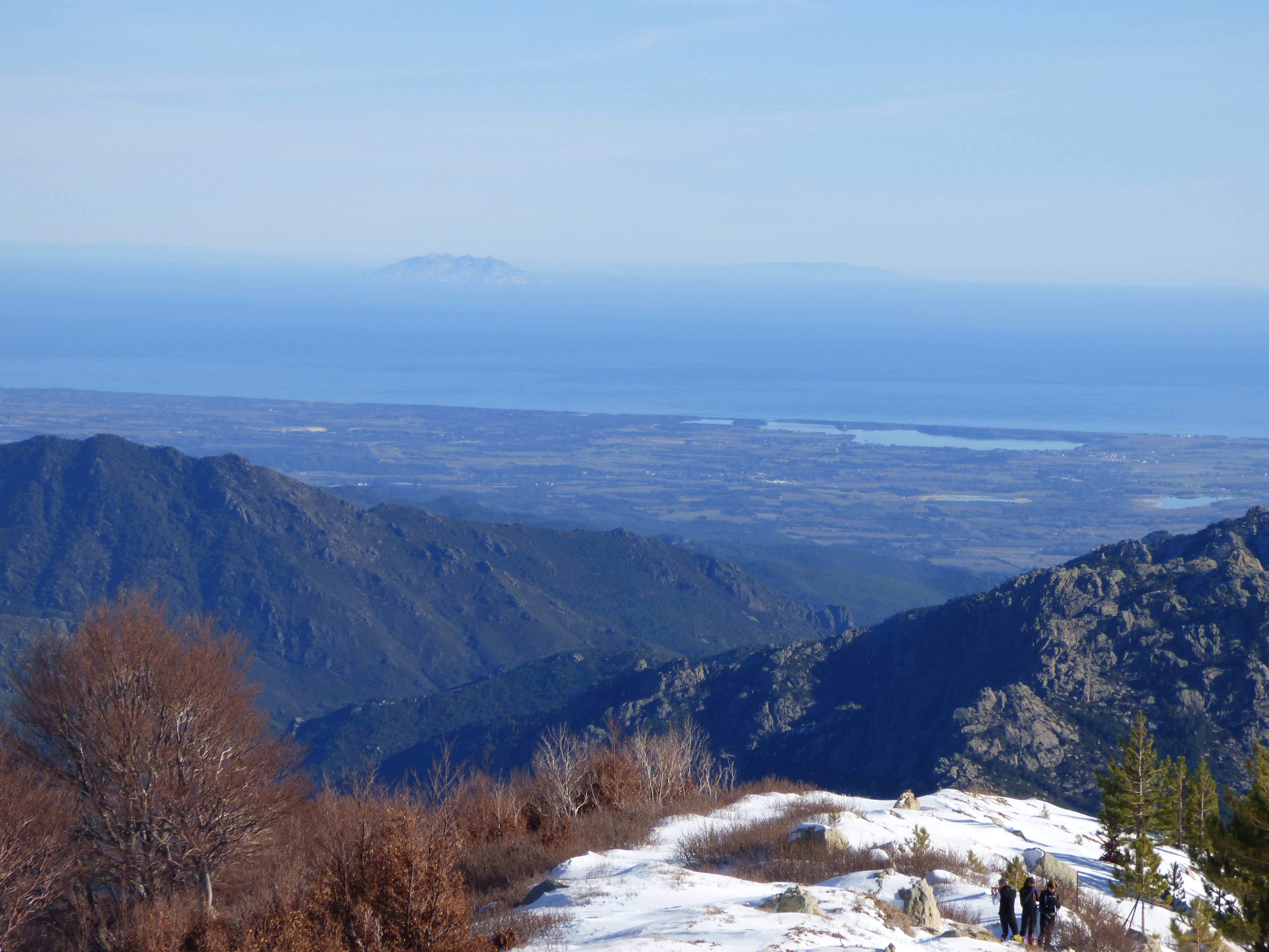 RENOSU BACINELLO RENOSU BACINELLO