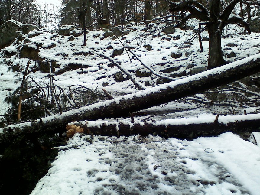 ROUTE RESTONICA COUPEE ROUTE RESTONICA COUPEE