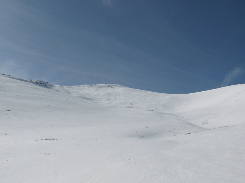 LATTINICCIA  par casanova LATTINICCIA  par casanova