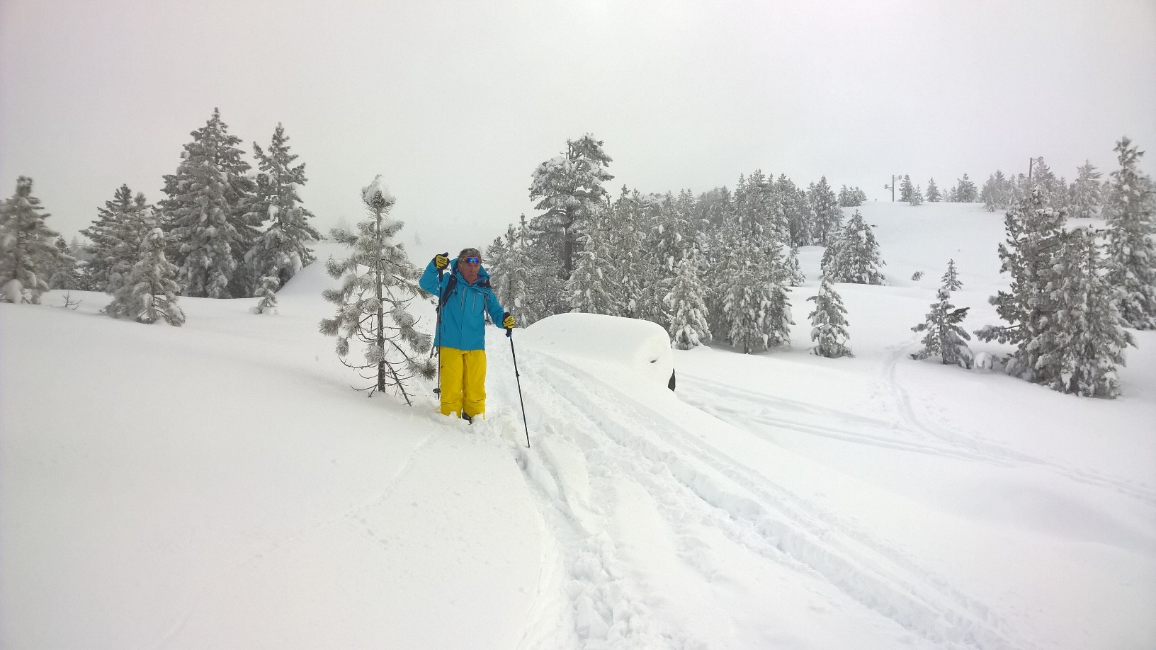 ASCO TUMAGINESCA ASCO TUMAGINESCA