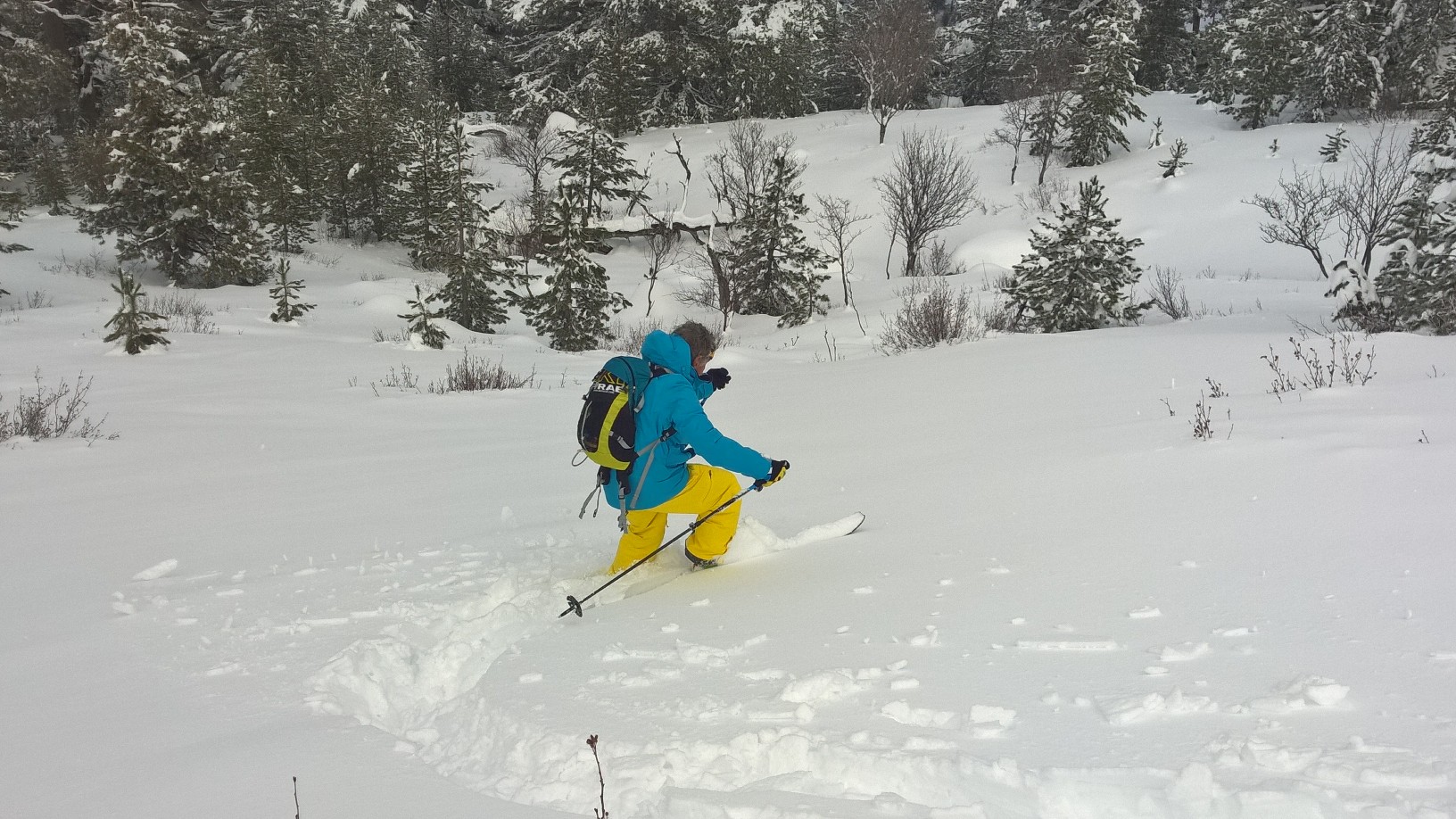 ASCO TUMAGINESCA ASCO TUMAGINESCA
