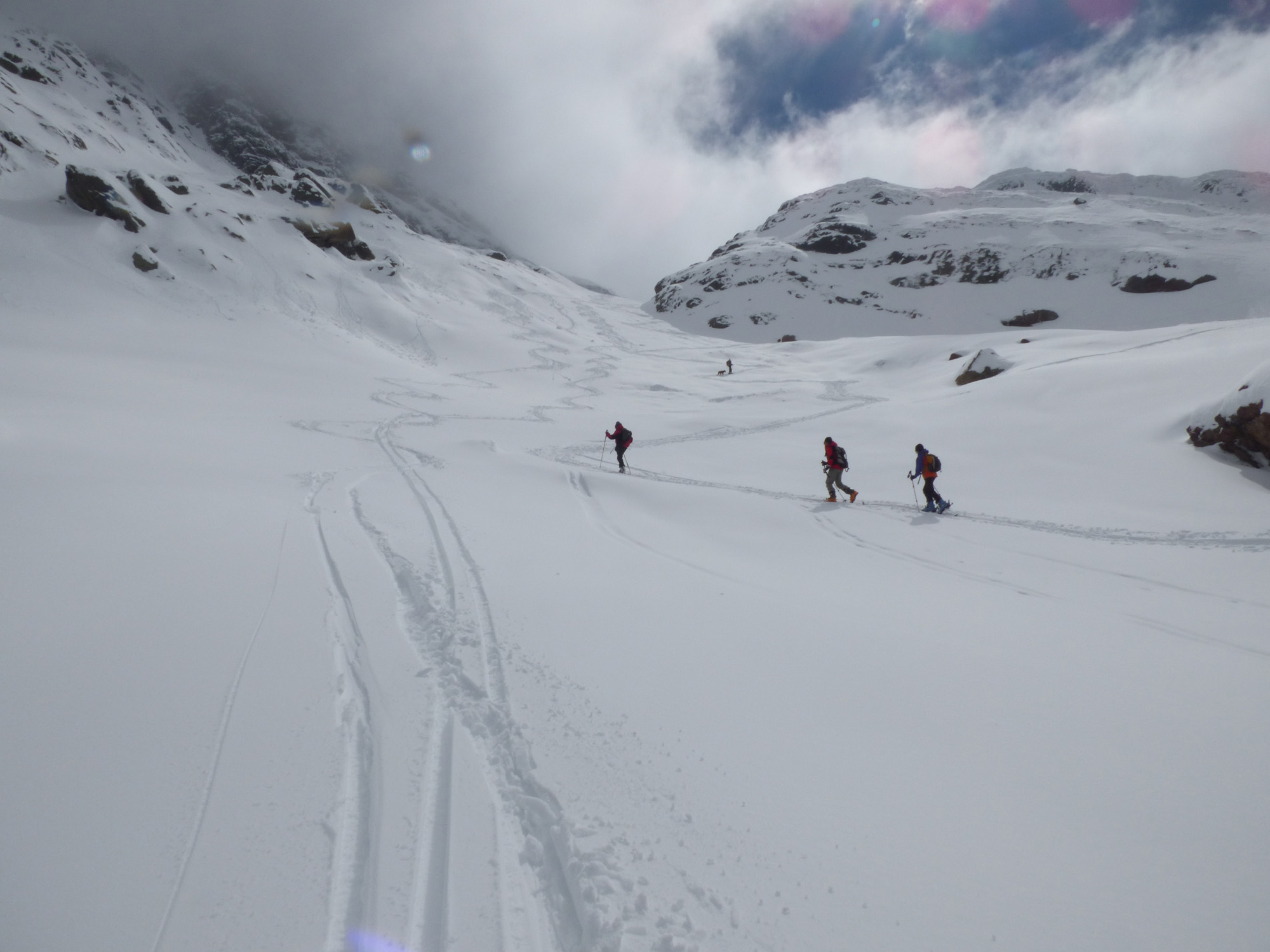 TUMAGINESCA TUMAGINESCA