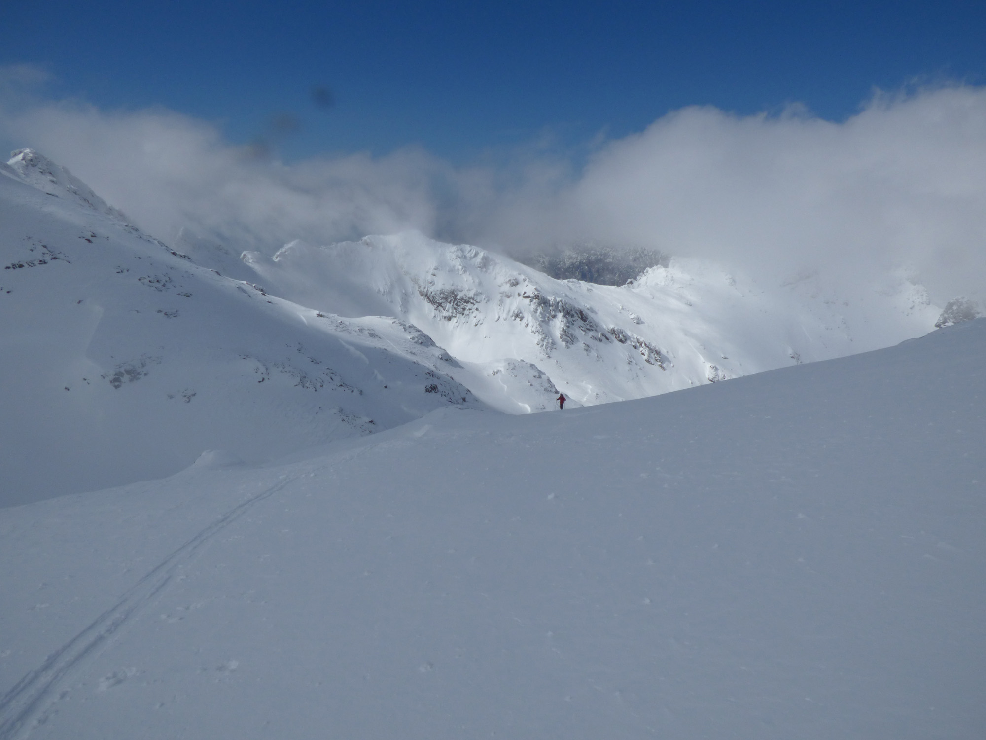 TUMAGINESCA TUMAGINESCA