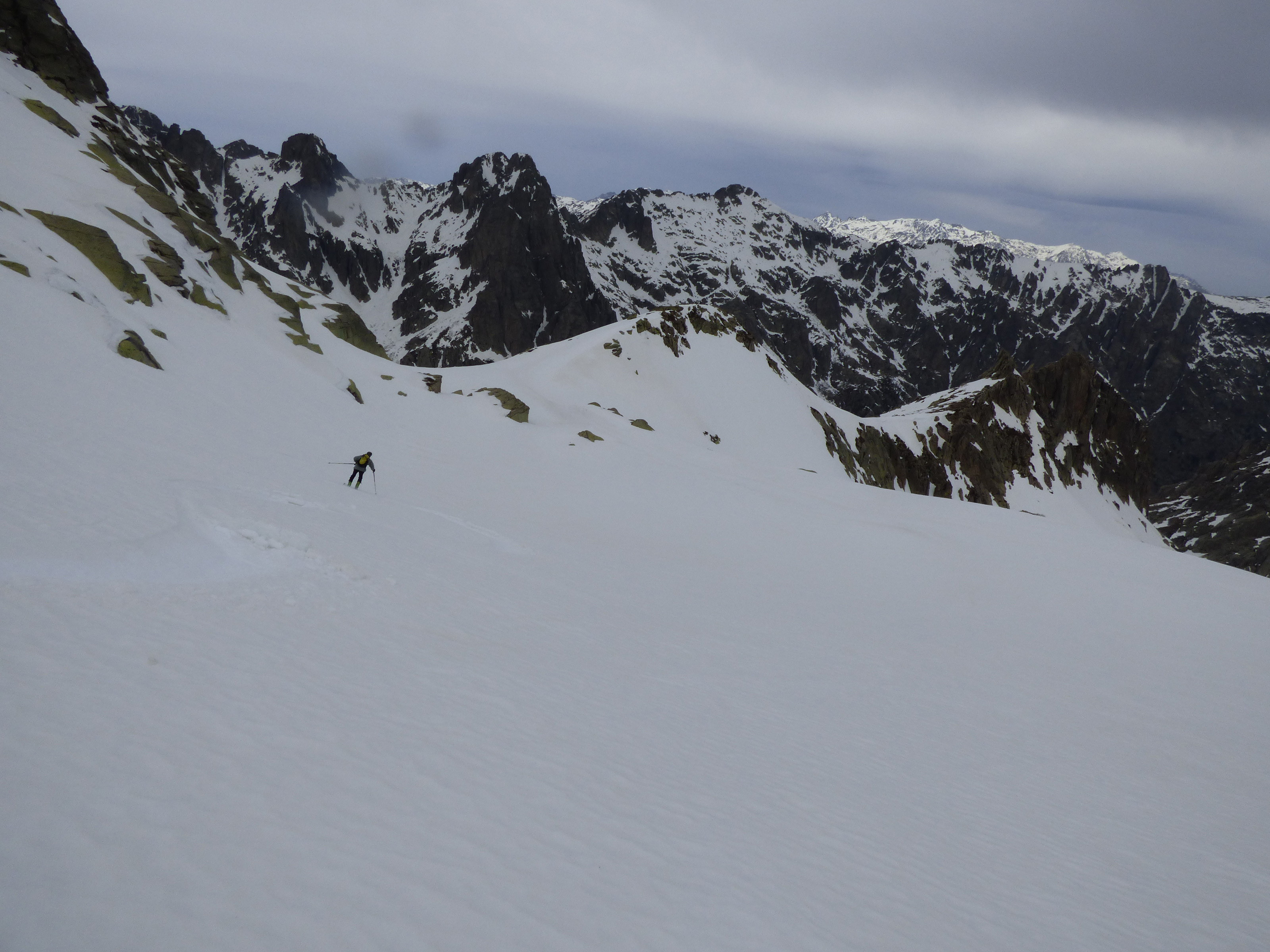 Pta MUZZELA Pta MUZZELA