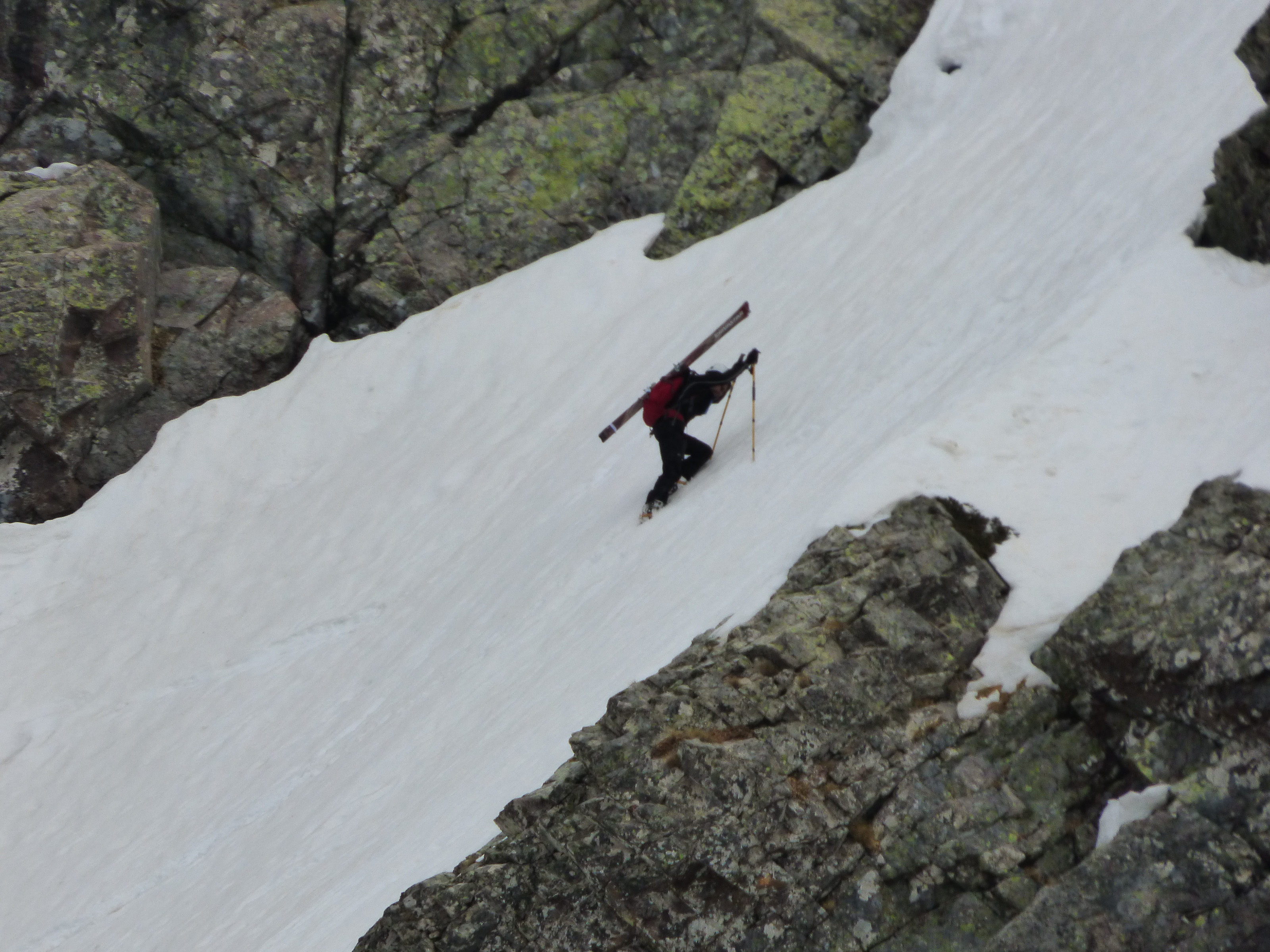 TRIMBULACCIU/PÄNPA TRIMBULACCIU/PÄNPA