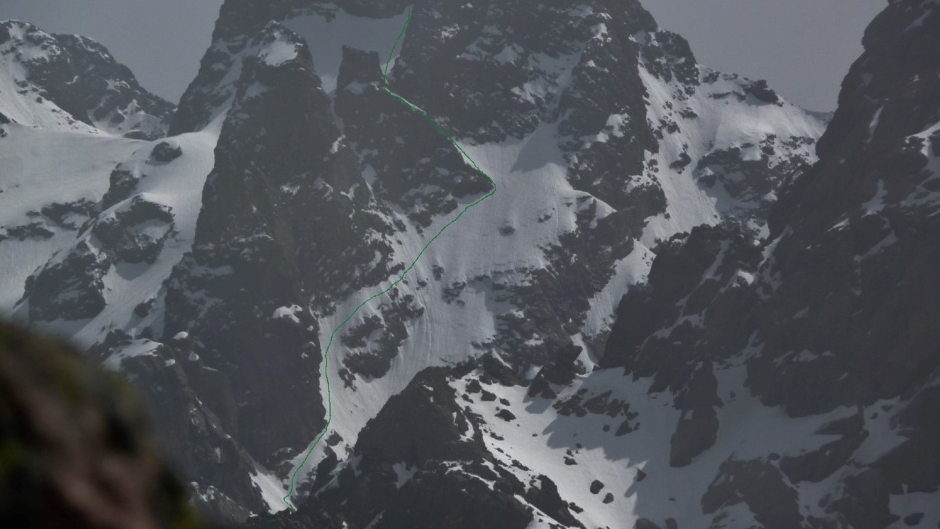 FELIX ULTRA FELIX ULTRA