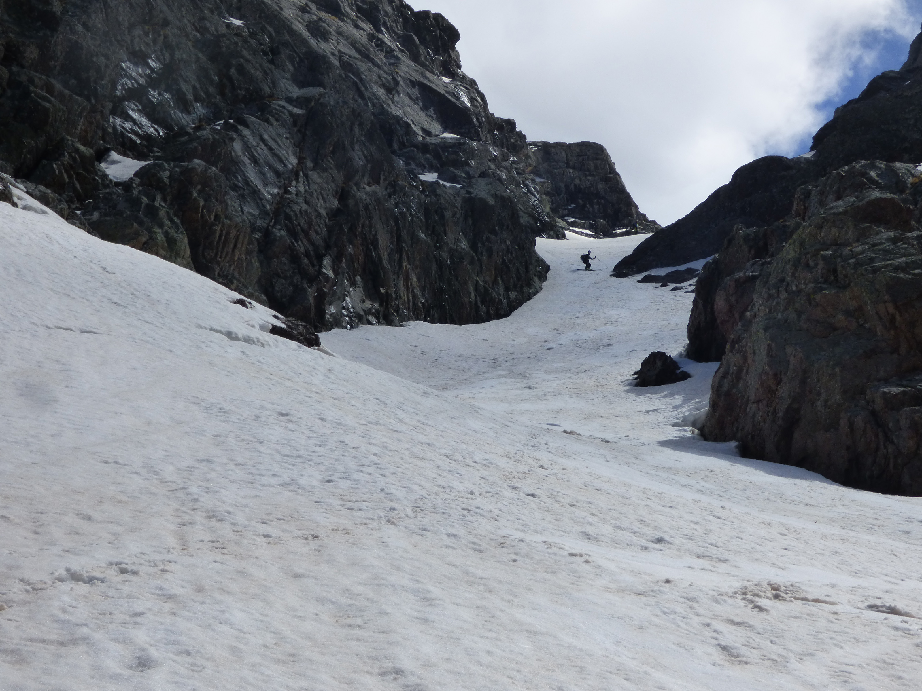 PANPANOSA Semper Fidelis PANPANOSA Semper Fidelis