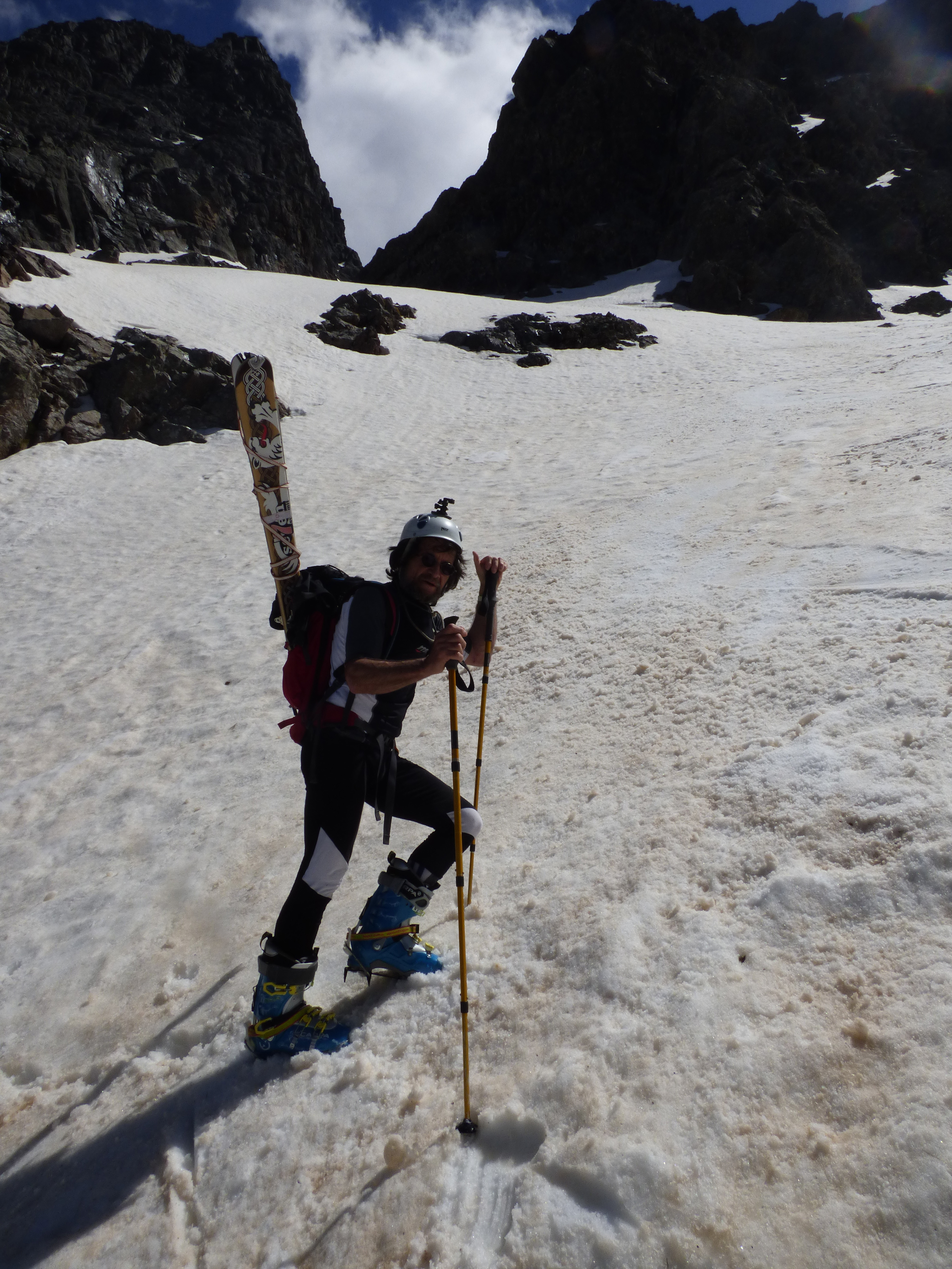 PANPANOSA Semper Fidelis PANPANOSA Semper Fidelis